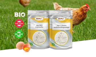 Nowa gama produktowa – Produkty jajeczne BIO i z chowu wolnowybiegowego