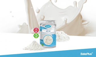 Koncentrat serwatki białkowej – WPC (Whey Protein Concentrate)